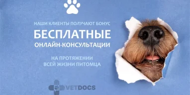 Ветеринарная клиника Vetdocs на Советской улице фотография 7