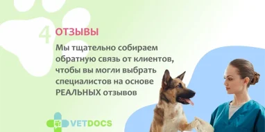 Ветеринарная клиника Vetdocs на Советской улице фотография 5