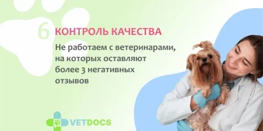 Ветеринарная клиника Vetdocs на Советской улице фотография 8