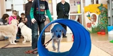 Учебно-кинологический центр Собаки-помощники инвалидов фотография 5