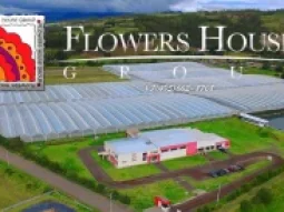 Производственно-торговая компания Flowers house 