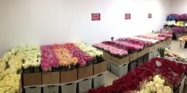 Магазин Городская база цветов на проспекте Ленина фотография 3