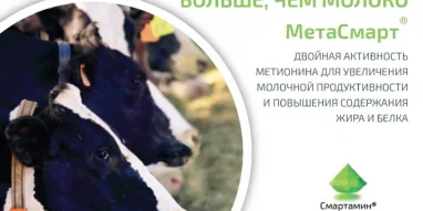 Журнал Молочное и мясное скотоводство фотография 4