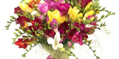 Киоск по продаже цветов Tc flowers фотография 1